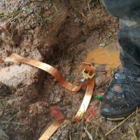 Omegatrends_JadeHills027