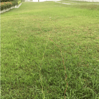 Omegatrends_JadeHills031